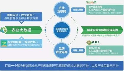 “丰县、建湖、商河”布瑞克三大落地县域荣获农业农村部信息中心《2020全国县域数字农业农村发展先进县